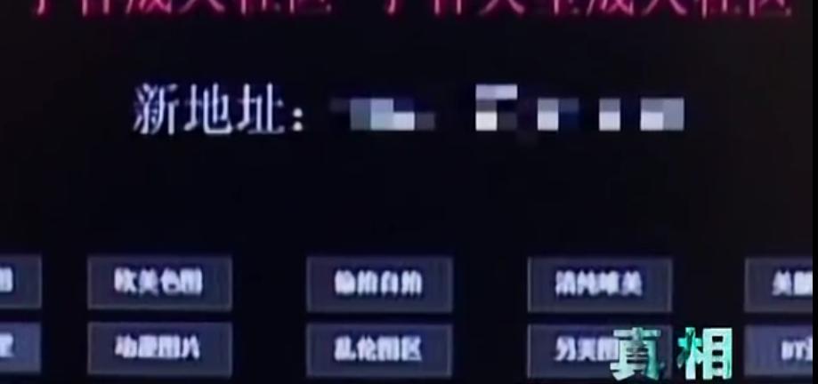 网络特大淫秽案件破获,破获特大网络淫秽案