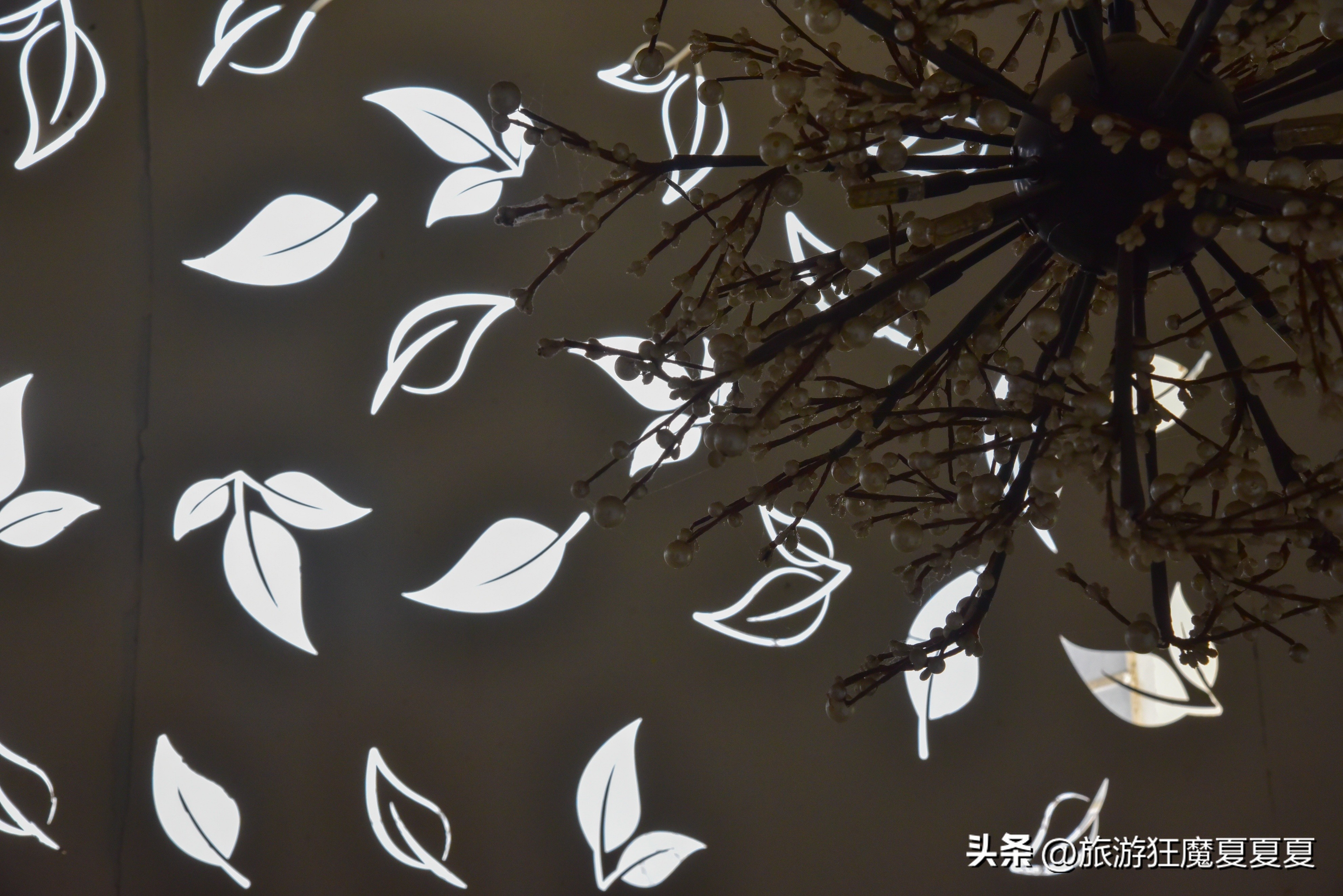 日本抹茶党必去之地,径山抹茶和抹茶区别在哪