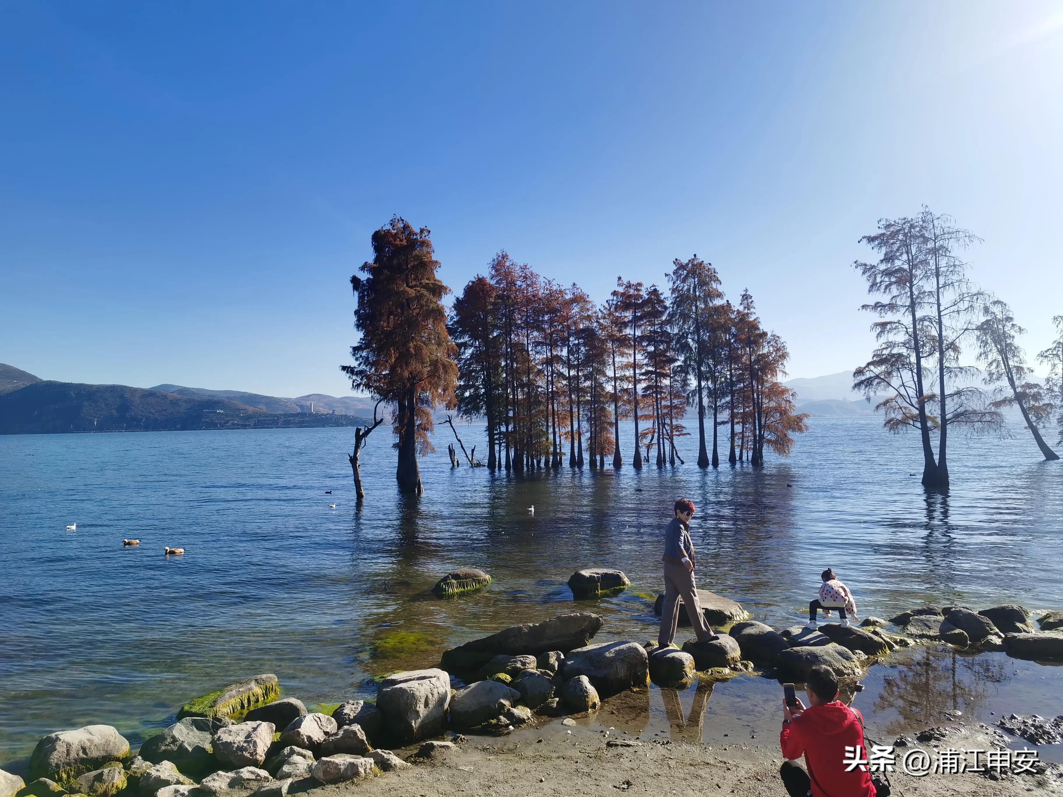 云南大理洱海龙龛码头看海景,大理洱海生态走廊精华