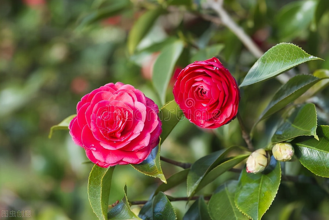 部编版二年级语文下册单元复习题,部编二年级语文下册三单元试卷