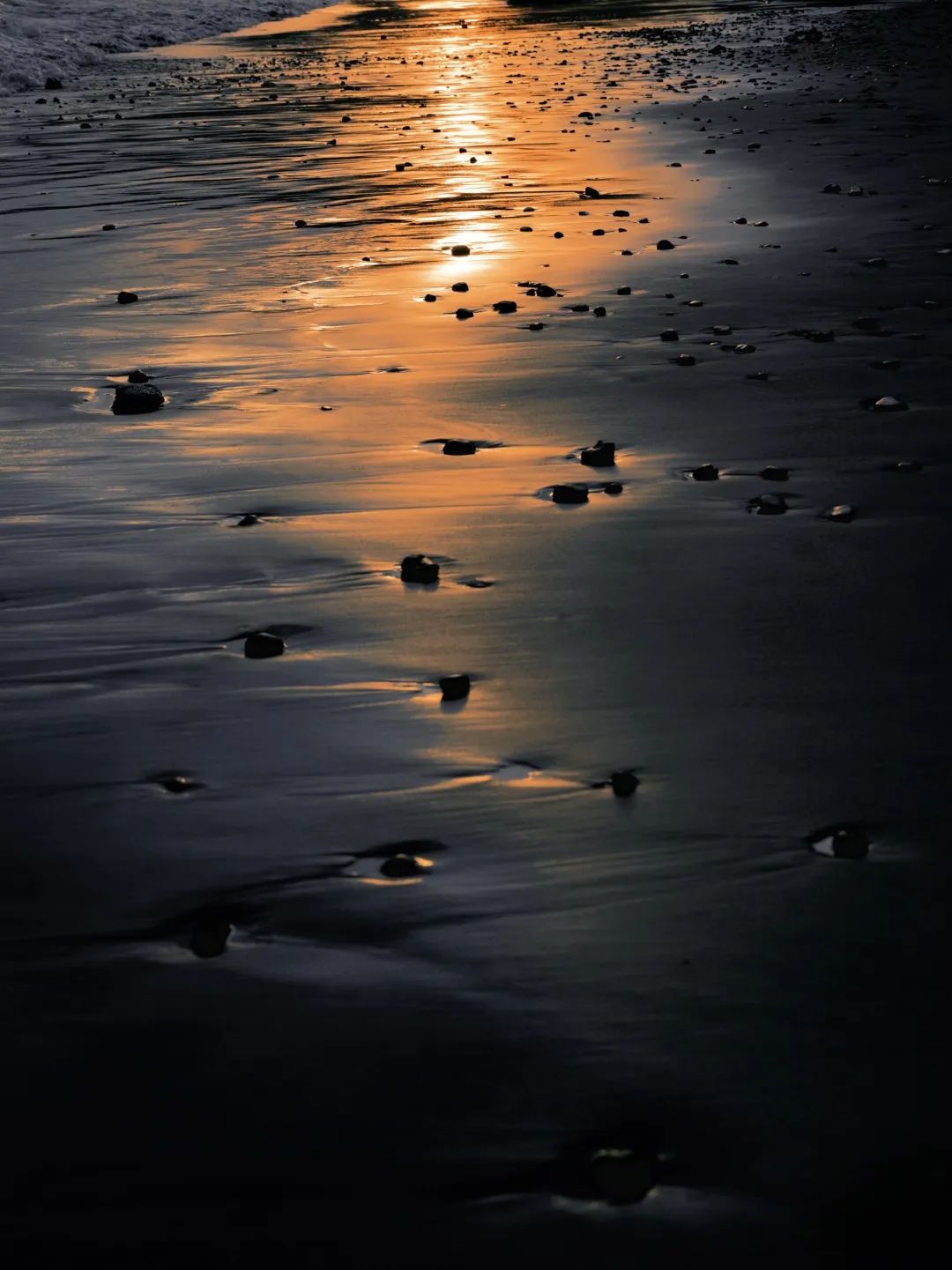 这可能是全球性价比最高的一家阿丽拉