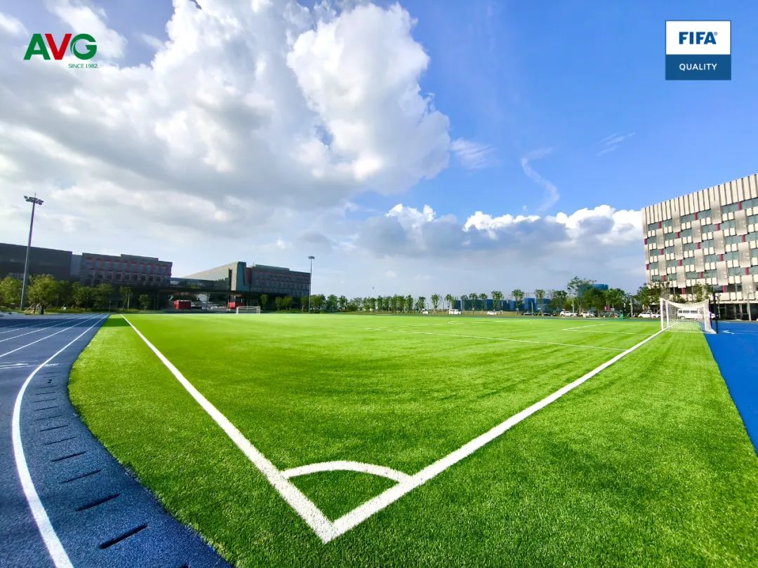 国际足联fifa场地认证资格,国际fifa场地认证