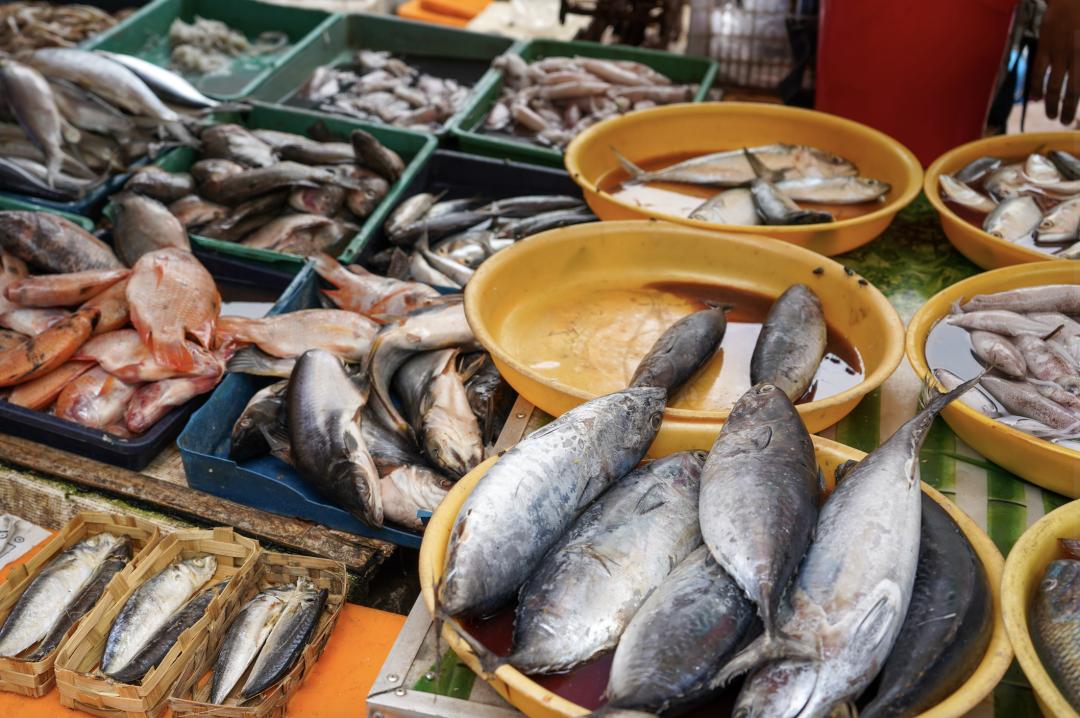 海美、小吃巨好吃！这个神还原游戏世界的小城，不该这样被埋没！