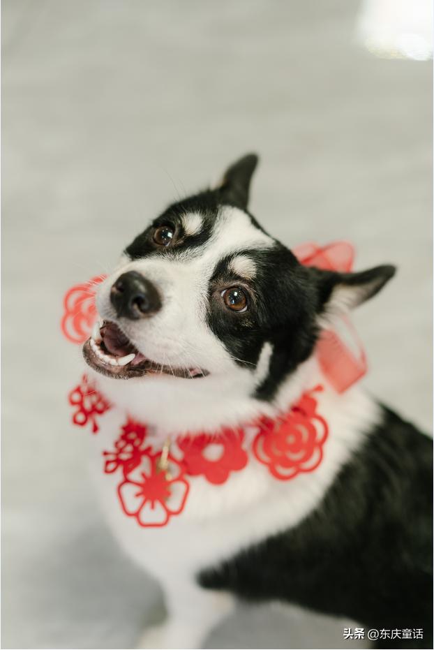 备婚婚房布置女方,备婚日记倒计时1天布置婚房