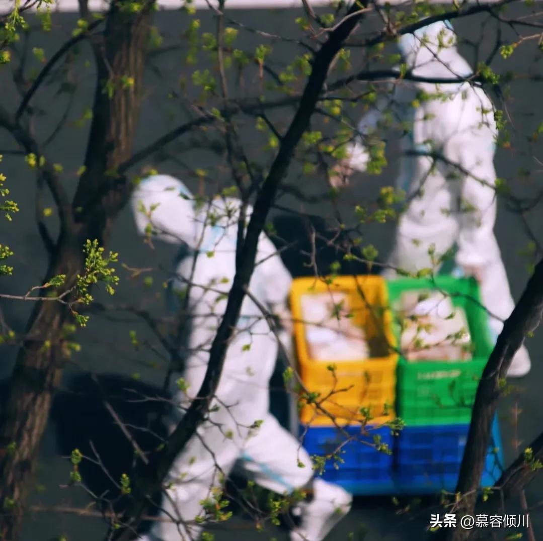 困扰五年的新冠到底去哪里了,刚爆发的新冠有多严重了