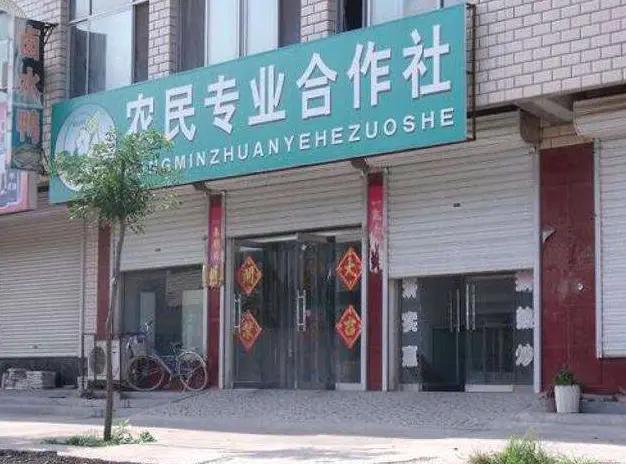 未来十年农村最具前景的行业,未来5年农村最有前景的行业