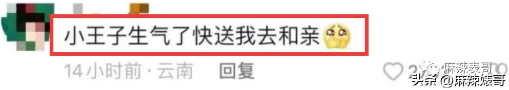 金晨模仿卡塔尔小王子晒照,金晨模仿卡塔尔王子被起诉了吗