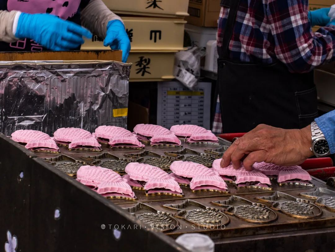 日本赏樱五日游攻略,日本河津樱游玩攻略