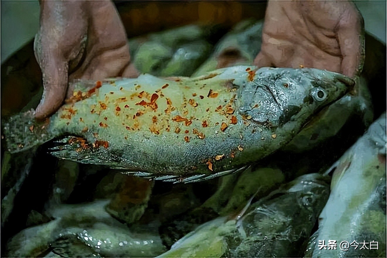 徽菜才是天下第一,徽菜轻度腐败