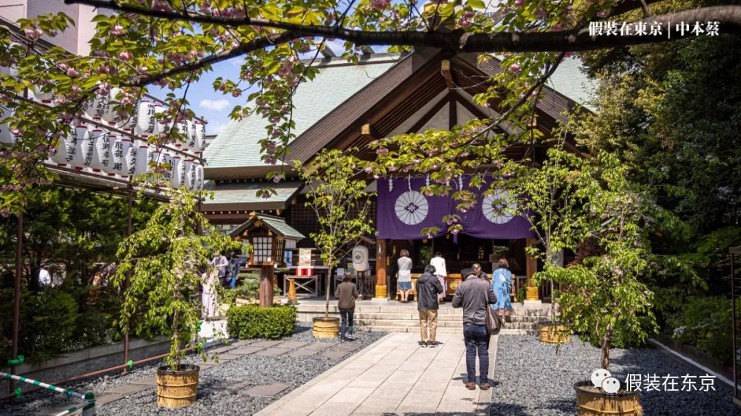 365张照片回顾,365张相片