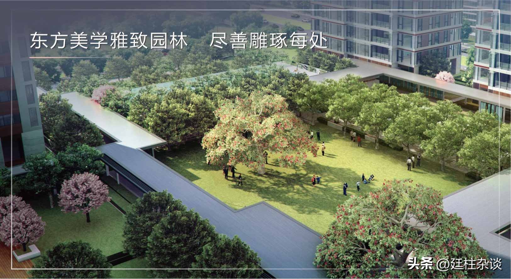 万科瑧湾汇楼层,万科瑧湾汇最新消息