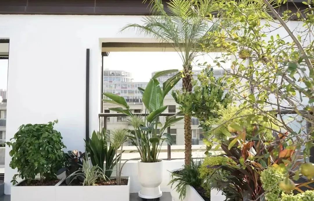 无锡两个爱花的小姐姐，开了家“宝藏”花店，对接奢侈品牌，业绩步步攀升