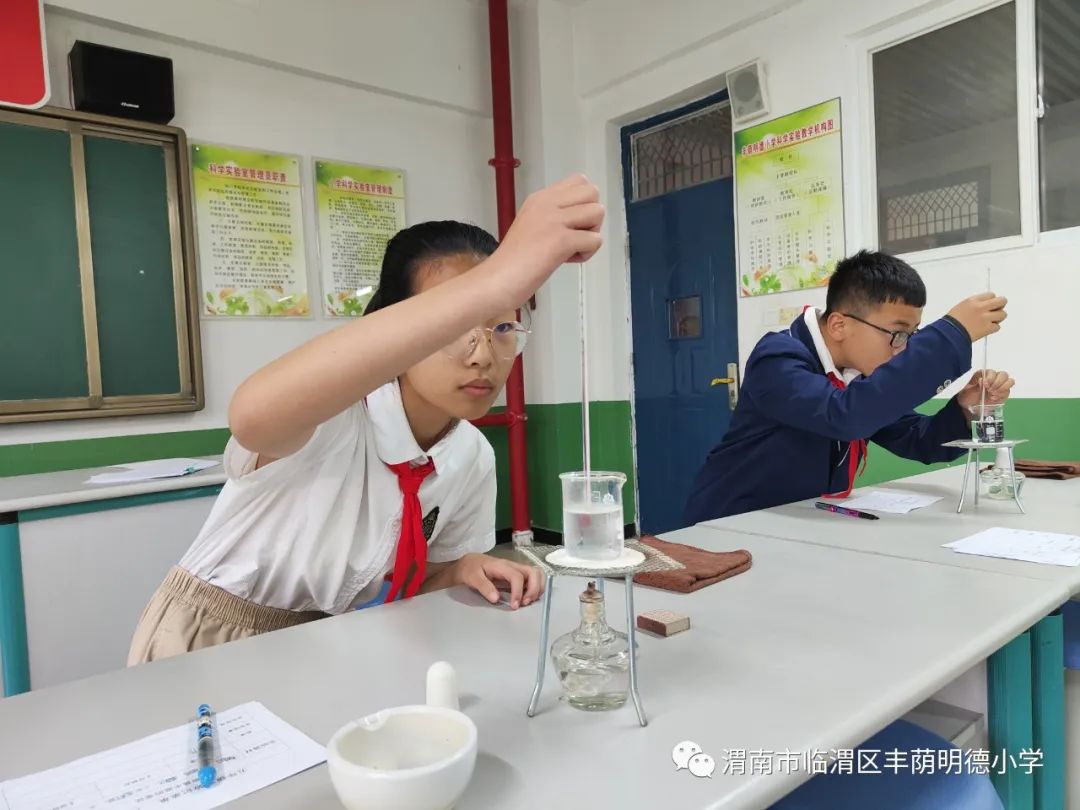 江苏省小学科学实验大赛,童心探科学逐梦创未来一等奖