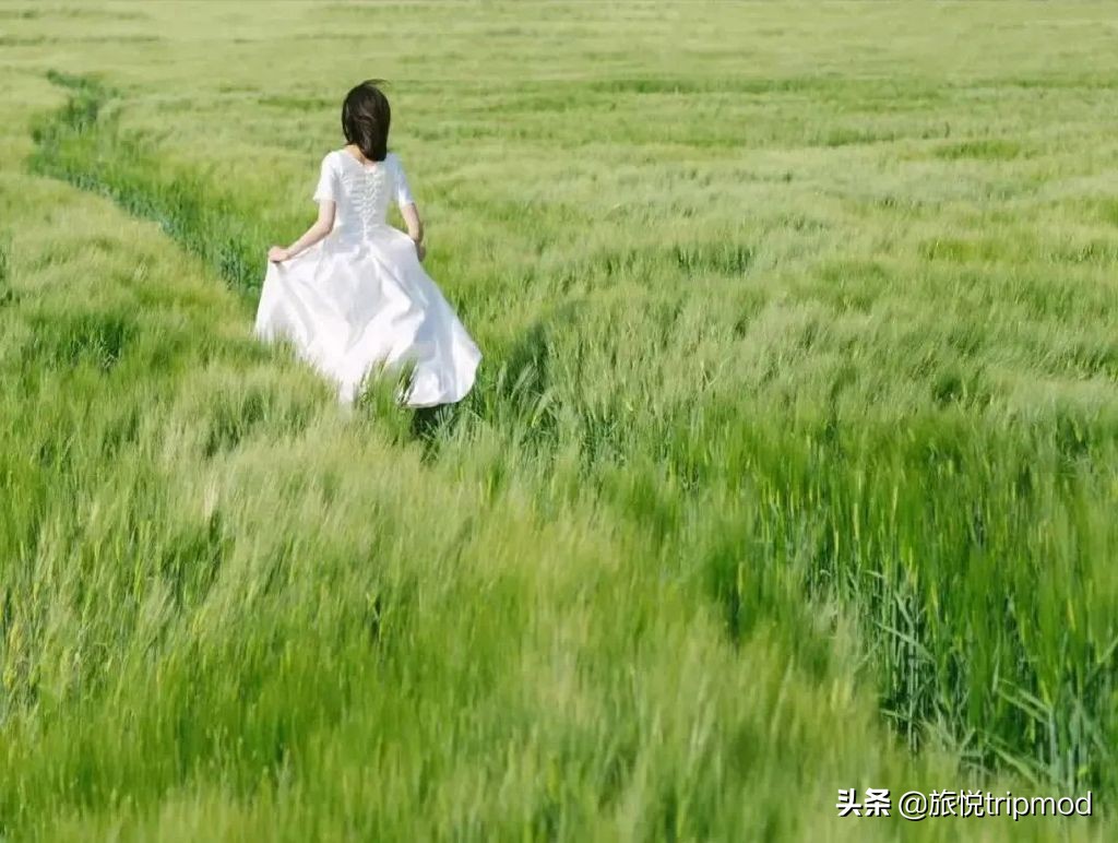 三亚免费适合自驾的环海公路,三亚最美环海公路推荐