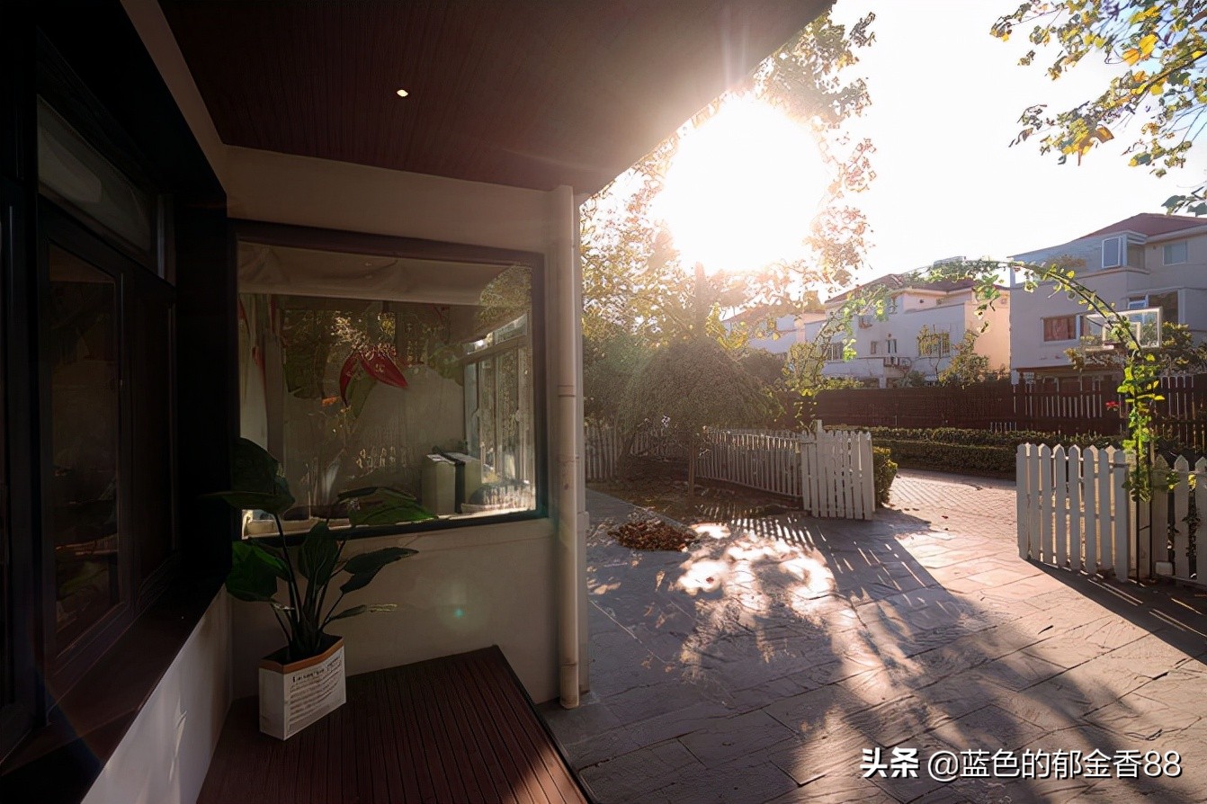 周末白相里的一张床、一群朋友、暴走于迪士尼乐园