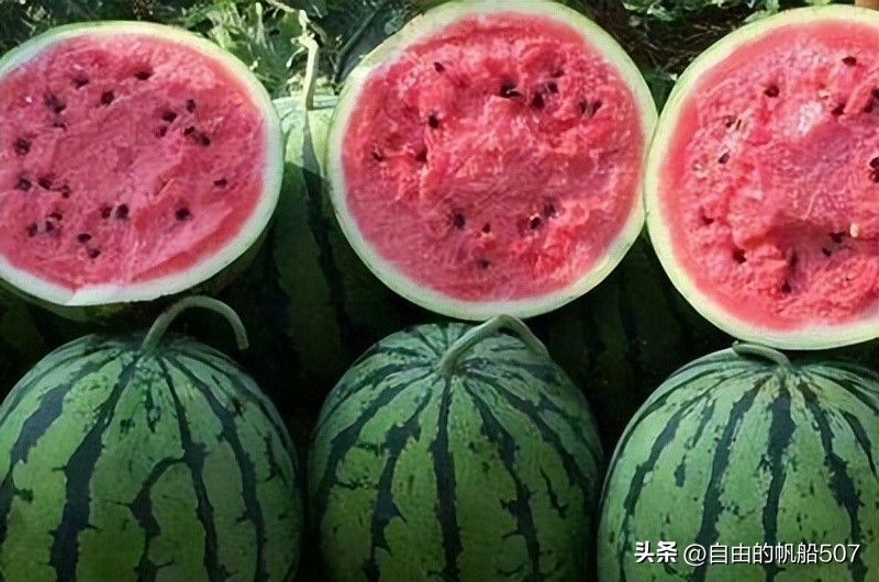 辽宁省沈阳市新民市地图,辽宁省沈阳市新民市住家阿姨