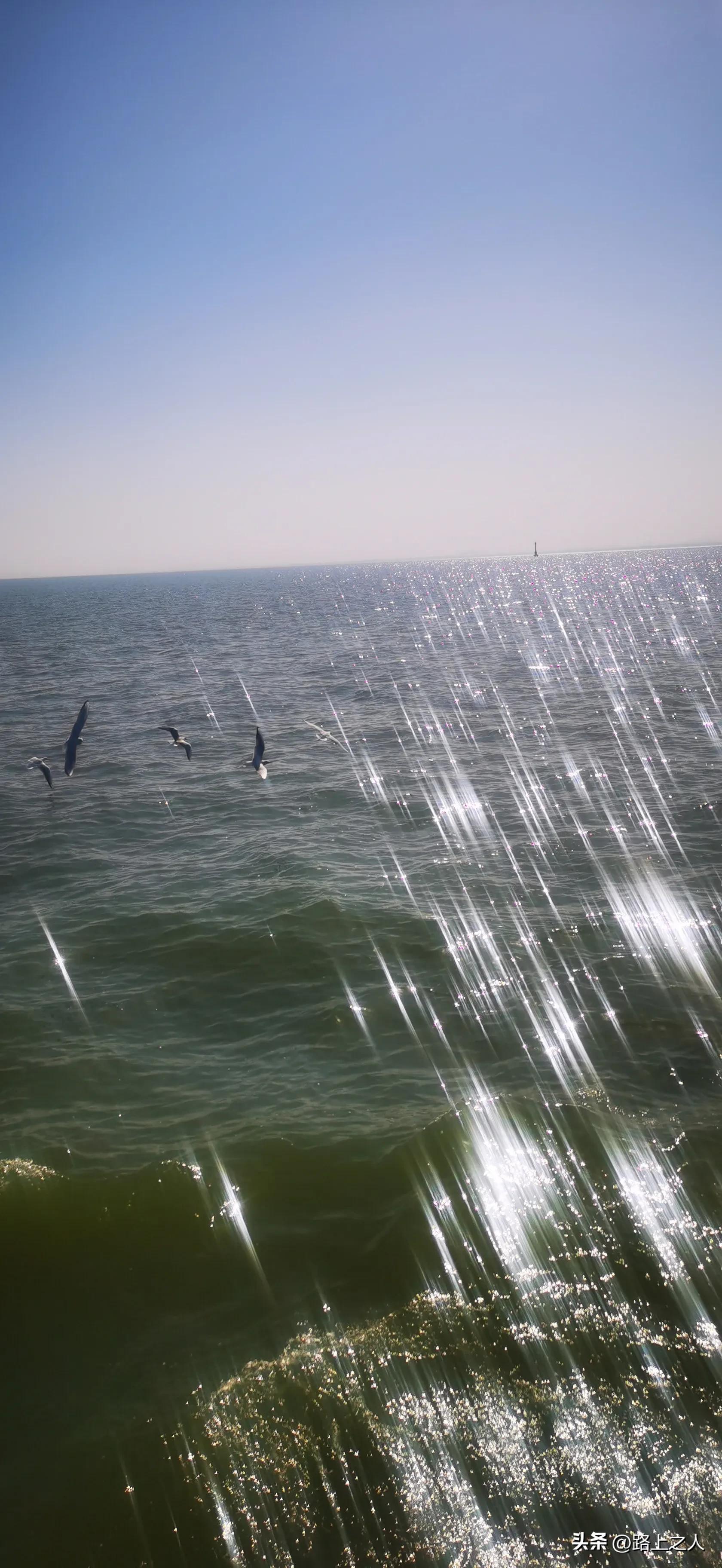 冬天合肥好玩的地方,合肥最好玩的地方排行榜第一名