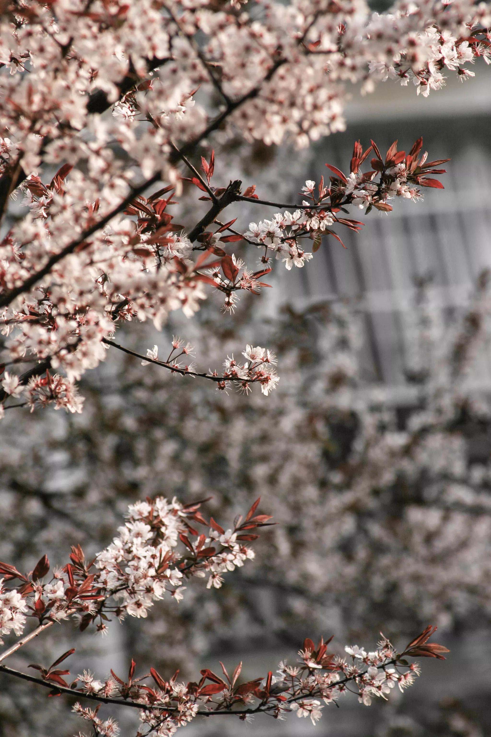 佳能入门机器能拍出好照片,佳能300d入门级