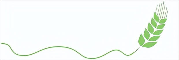 各种莓类功效,莓果类水果有哪些功效作用