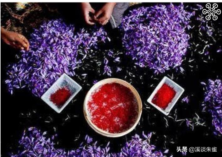 各国奇怪又好吃的美食,各国奇葩菜肴