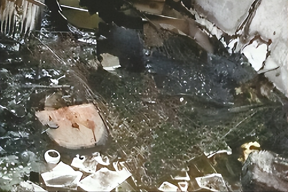 中国留学生在日本被判死刑,为何国人却拍手叫好?他到底做了什么