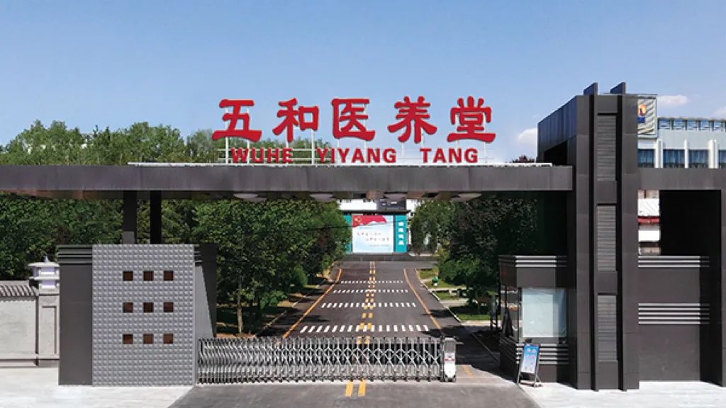 电商助力乡村振兴案例,乡村振兴创新创业电商助农视频