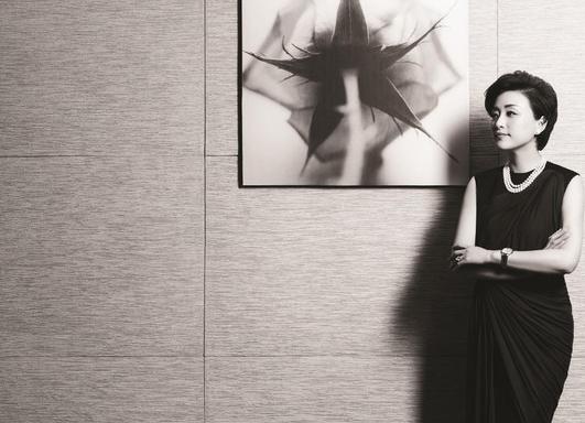 杨澜晒证件否认移民传闻,杨澜说没有移民没有绿卡