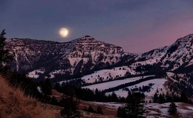 涓栫晫鍗佸ぇ瓒呮ā韬潗鍥剧墖鍥炬枃,涓栫晫鍗佸ぇ瓒呮ā鎯婅壋鍐欑湡