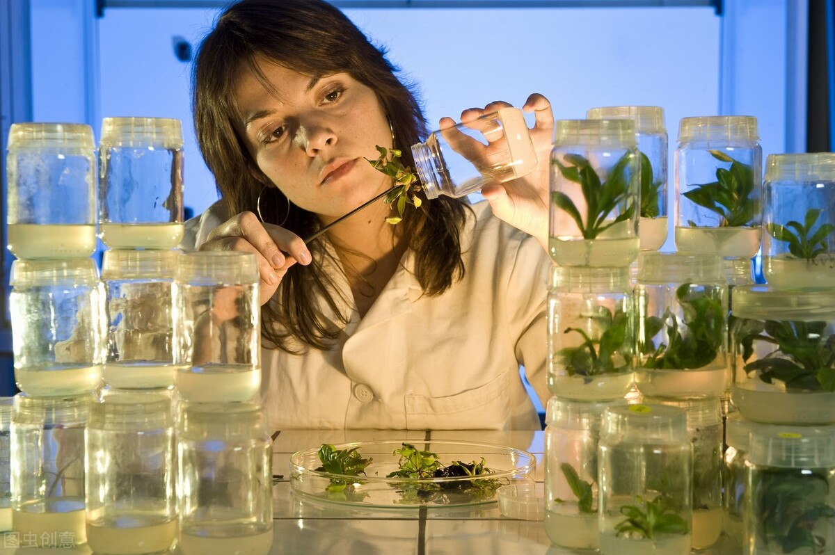 重组蛋白试剂,生物试剂的市场前景