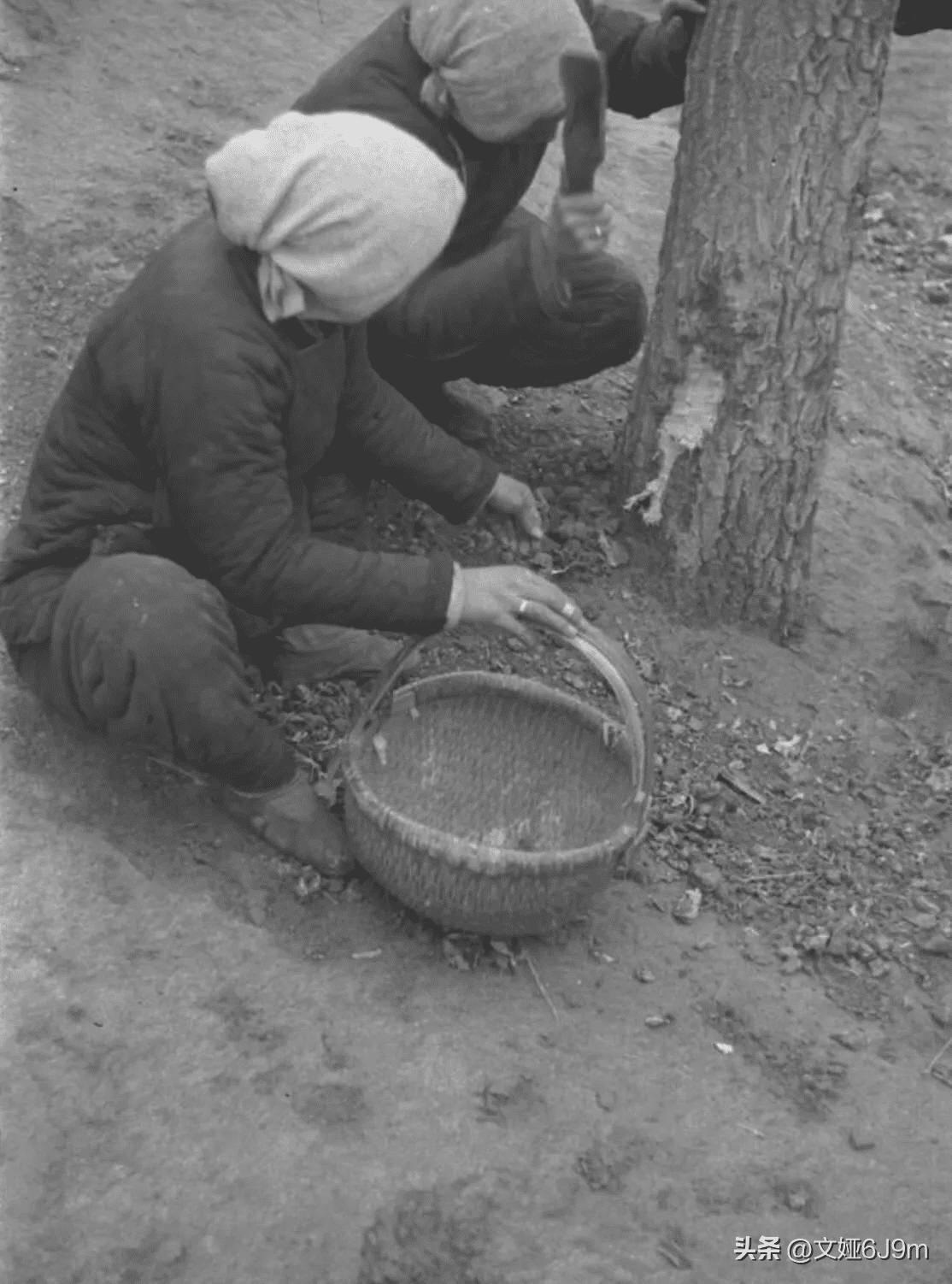 老照片:掠夺伊拉克黄金的美军,与德军合影的波兰*妓军**