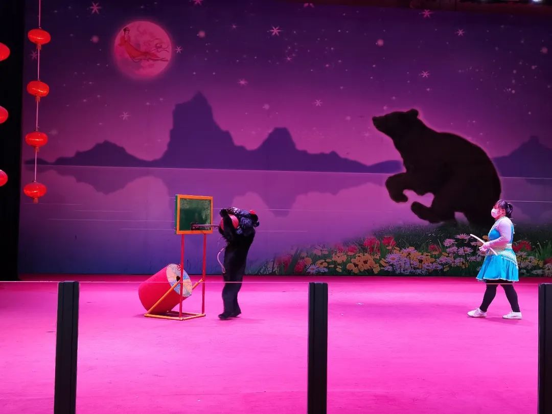 黑宝熊乐园需要自带泳圈吗,2020年黑宝熊乐园门票