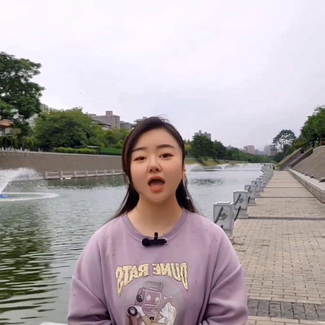 西安博物馆和陕西博物院哪个更好,西安博物馆与博物院有哪些区别