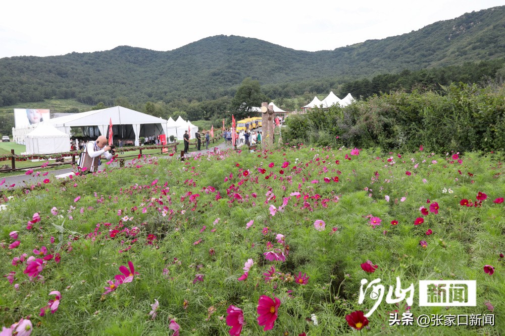 河北张家口旅游打卡,河北张家口网红打卡景点