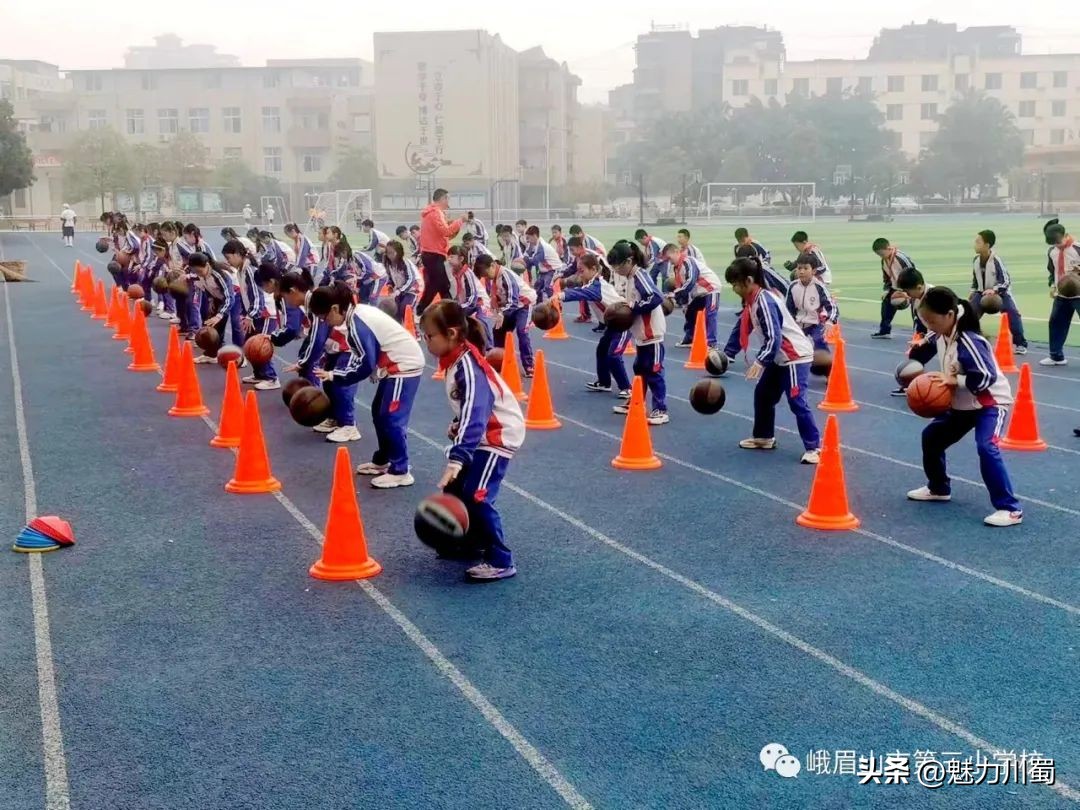 小学体育大单元教学实施效果,小学体育新课标大单元教学计划