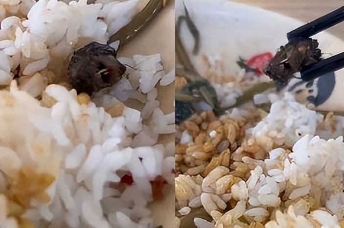 高校“鼠头鸭脖”,高校鼠头鸭脖事件你怎么看