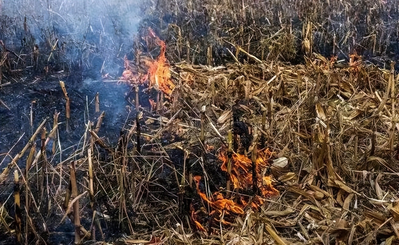 中国拖拉机在非洲惨遭滑铁卢！销售卖不过印度，是中国质量不好吗