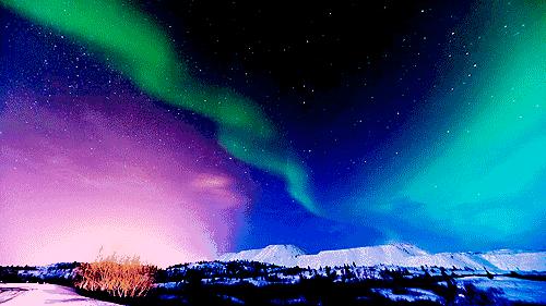 北极发现几万年前尸体人类需警惕,北极冻土发现史前生物是真的吗