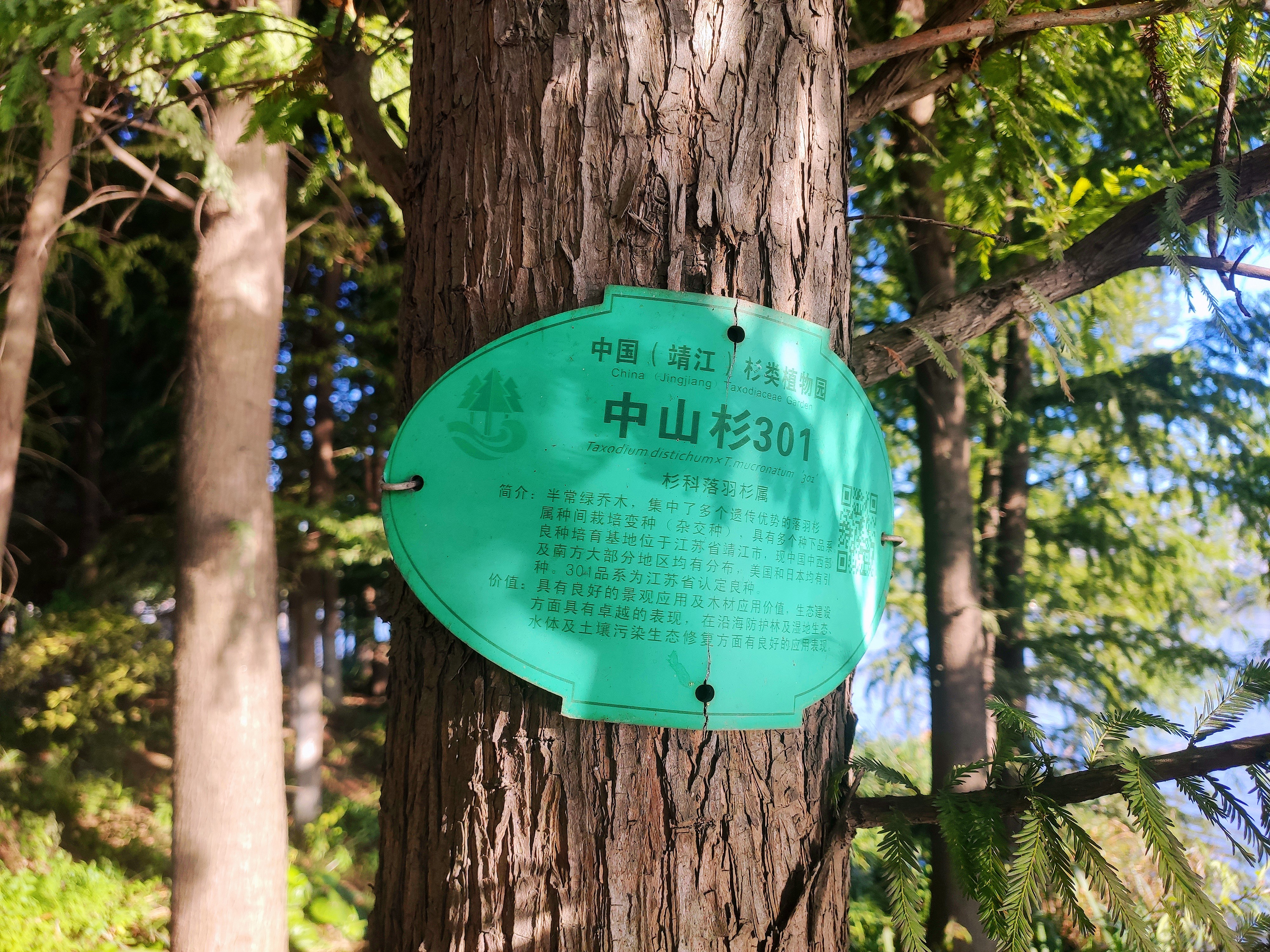 靖江周围有哪些特色旅游景点,不输5a的景区