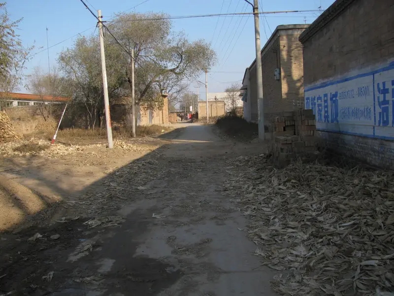 阿凡达为什么要花那么多钱,阿凡达有多火