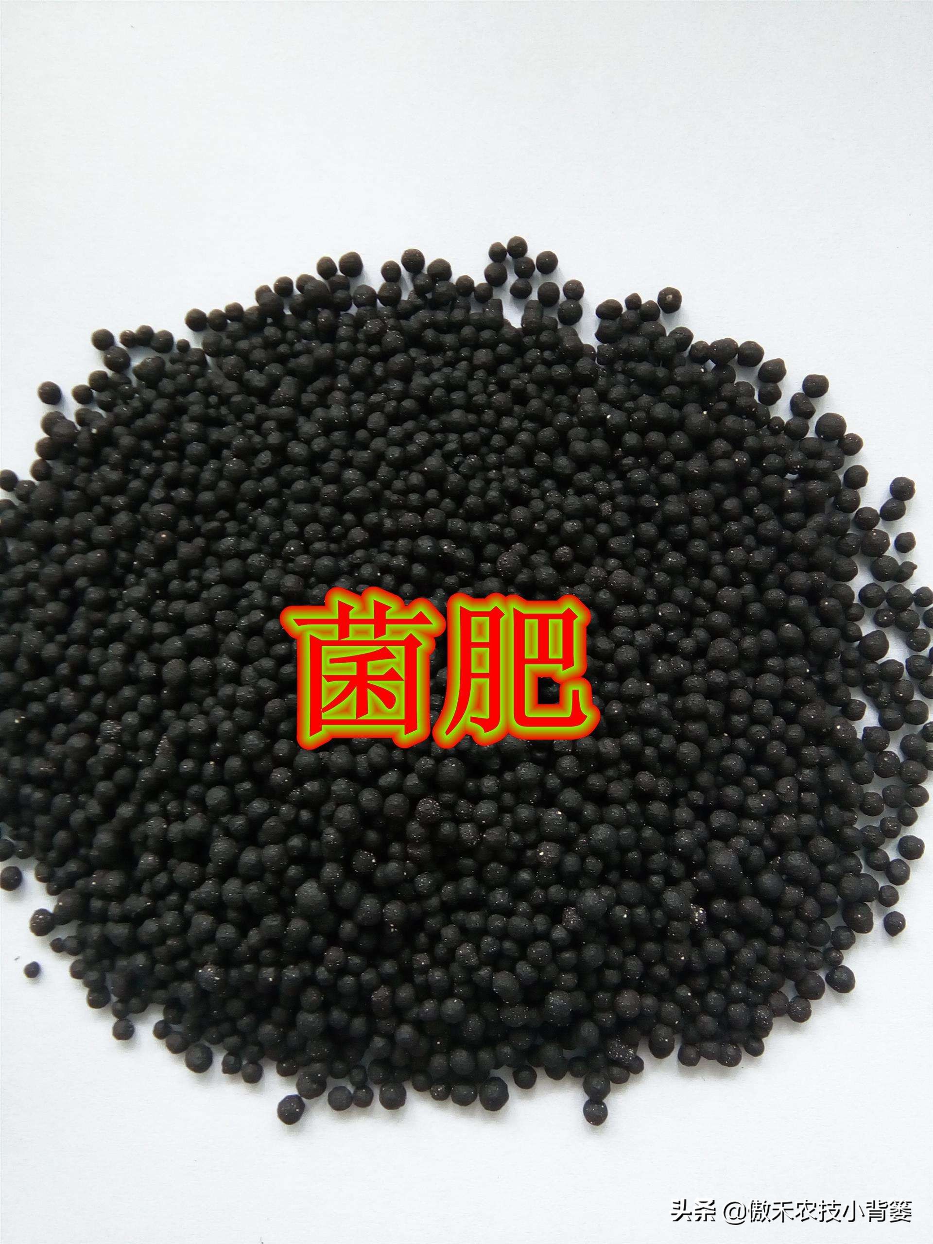 菌肥和菌剂的区别,菌肥与有机肥的区别