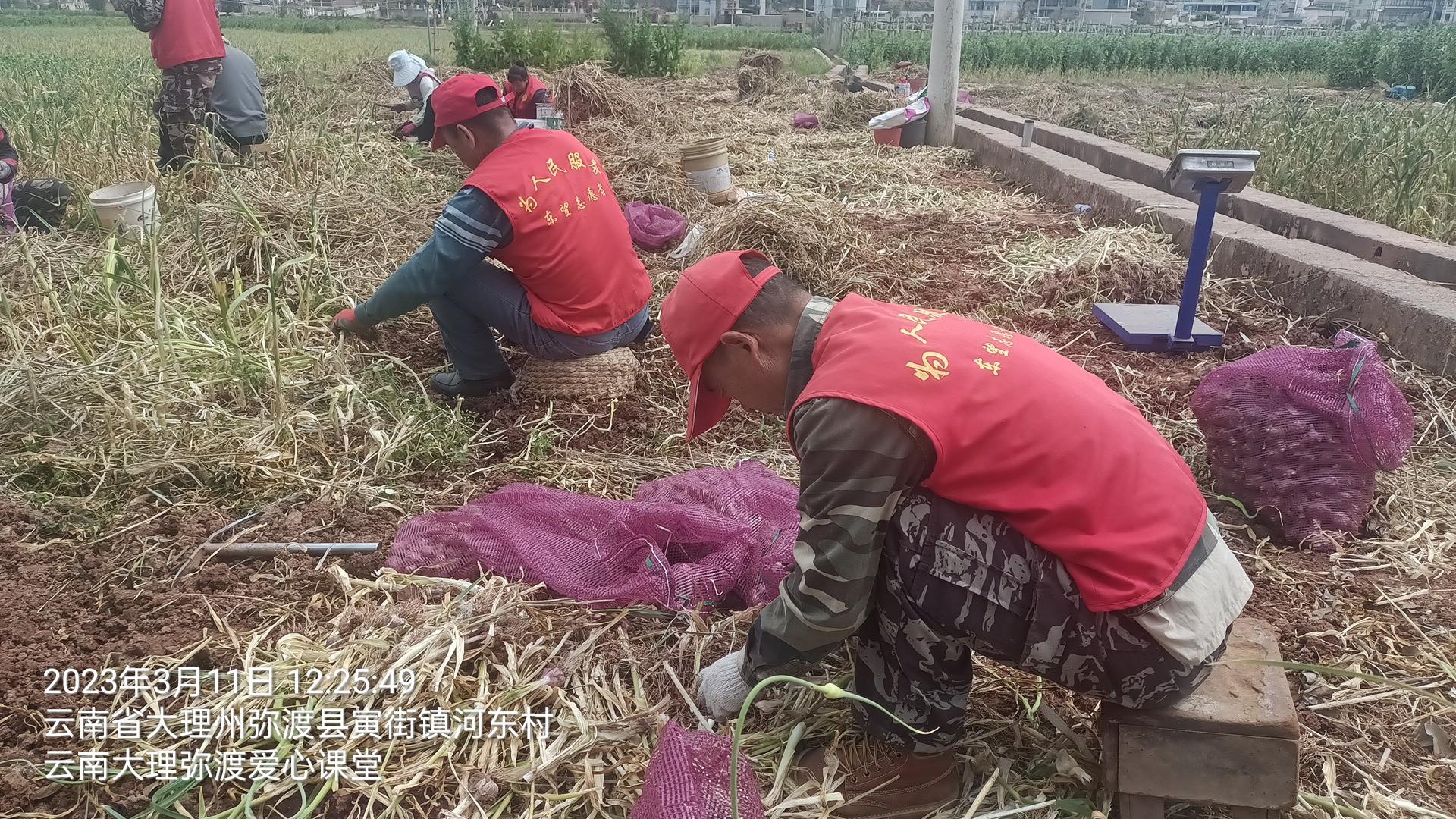 爱心助农公益活动,爱心助农服务活动