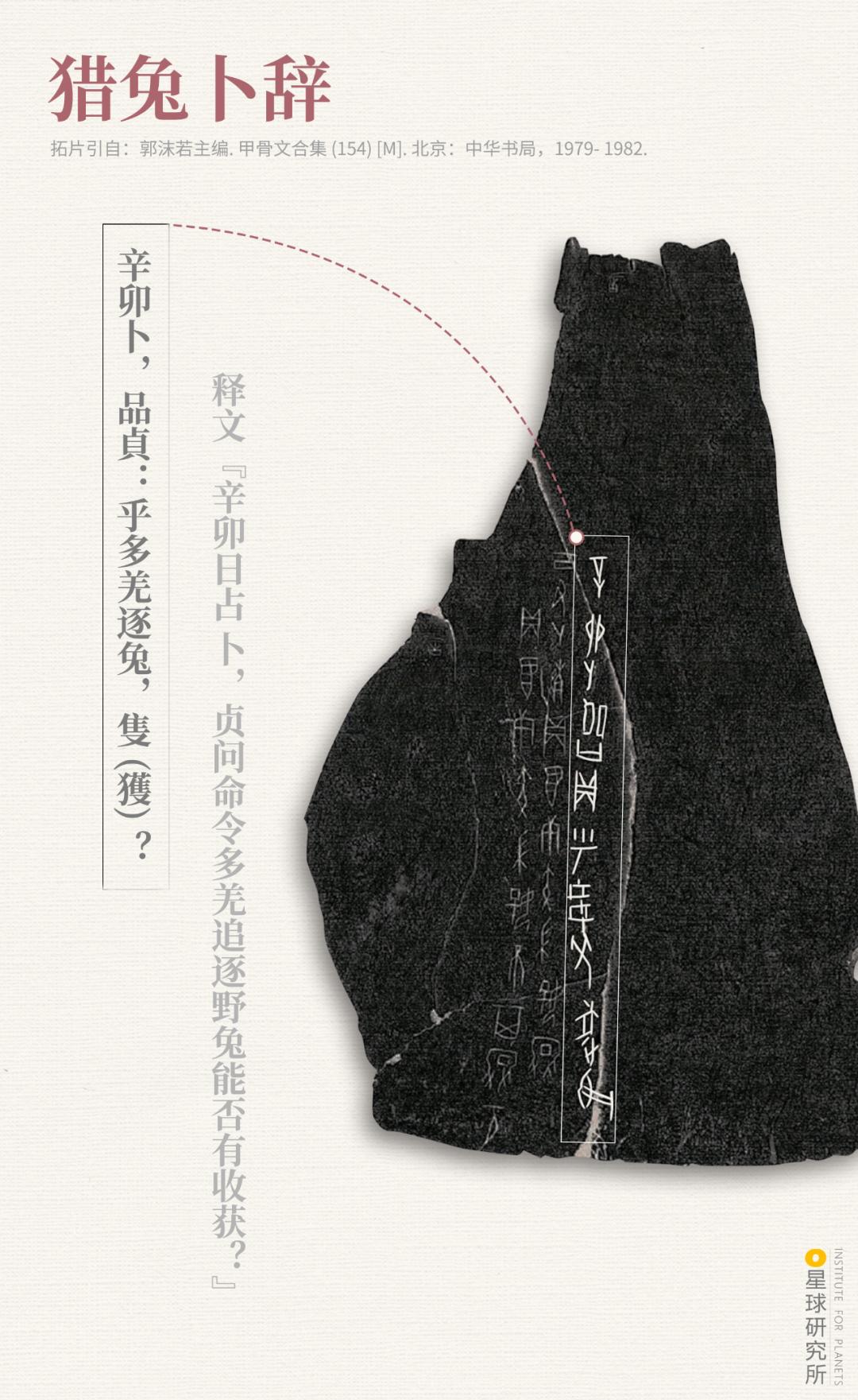 兔年来了,兔年来了怎么样