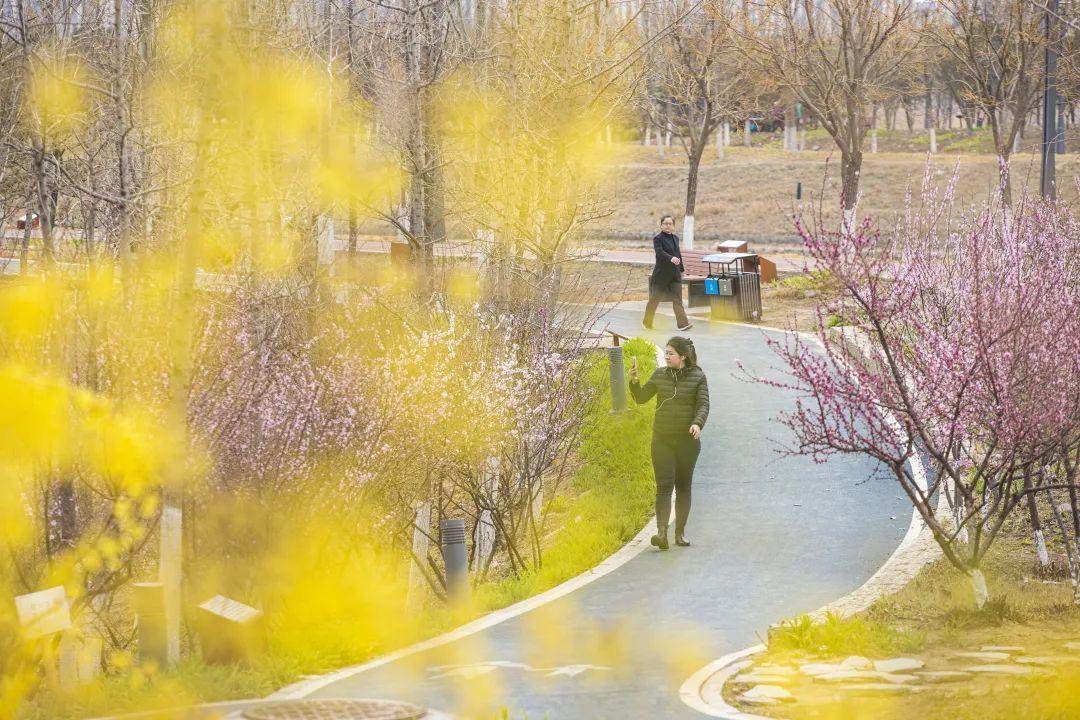 绿水绕城，绿道蜿蜒，这样的亦城你爱了吗~