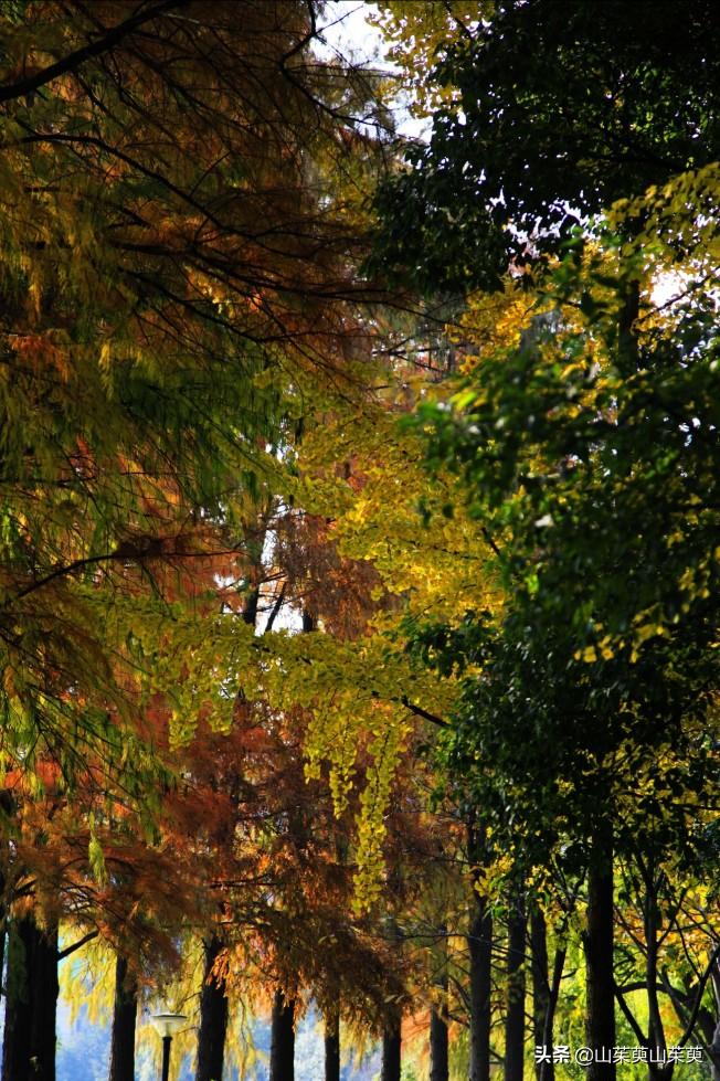 芜湖旅游攻略教堂,芜湖鸠兹风景区
