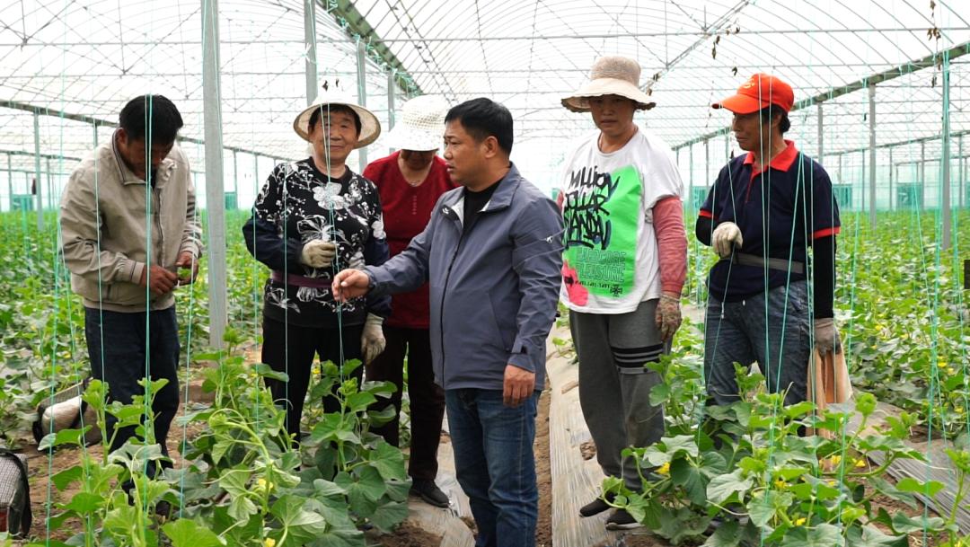 【干事创业强担当】刘天民:乡村振兴路上的领路人