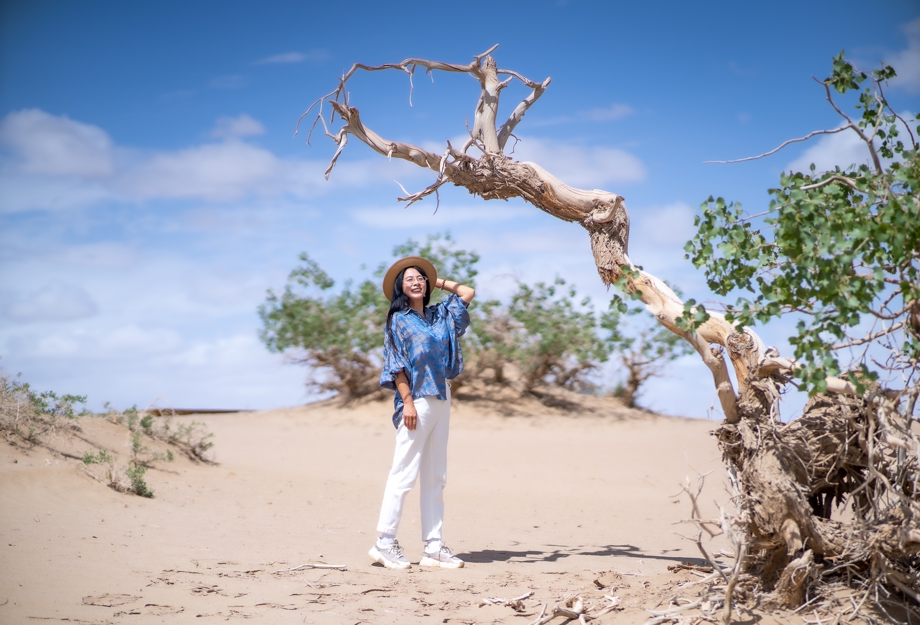 实拍格尔木胡杨林，海拔2800米，连绵1700亩，苍凉辽阔，拍照超酷