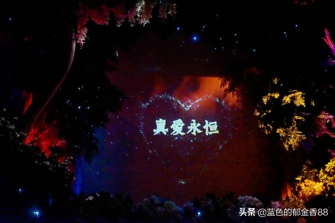 周末白相里的一张床、一群朋友、暴走于迪士尼乐园