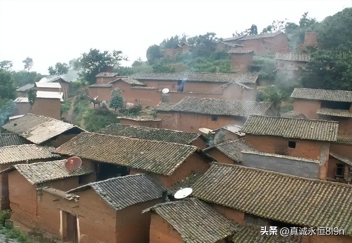 她遍体鳞伤,临刑前用最后一口气呼喊*产党共**万岁的英烈——蔡碧珩