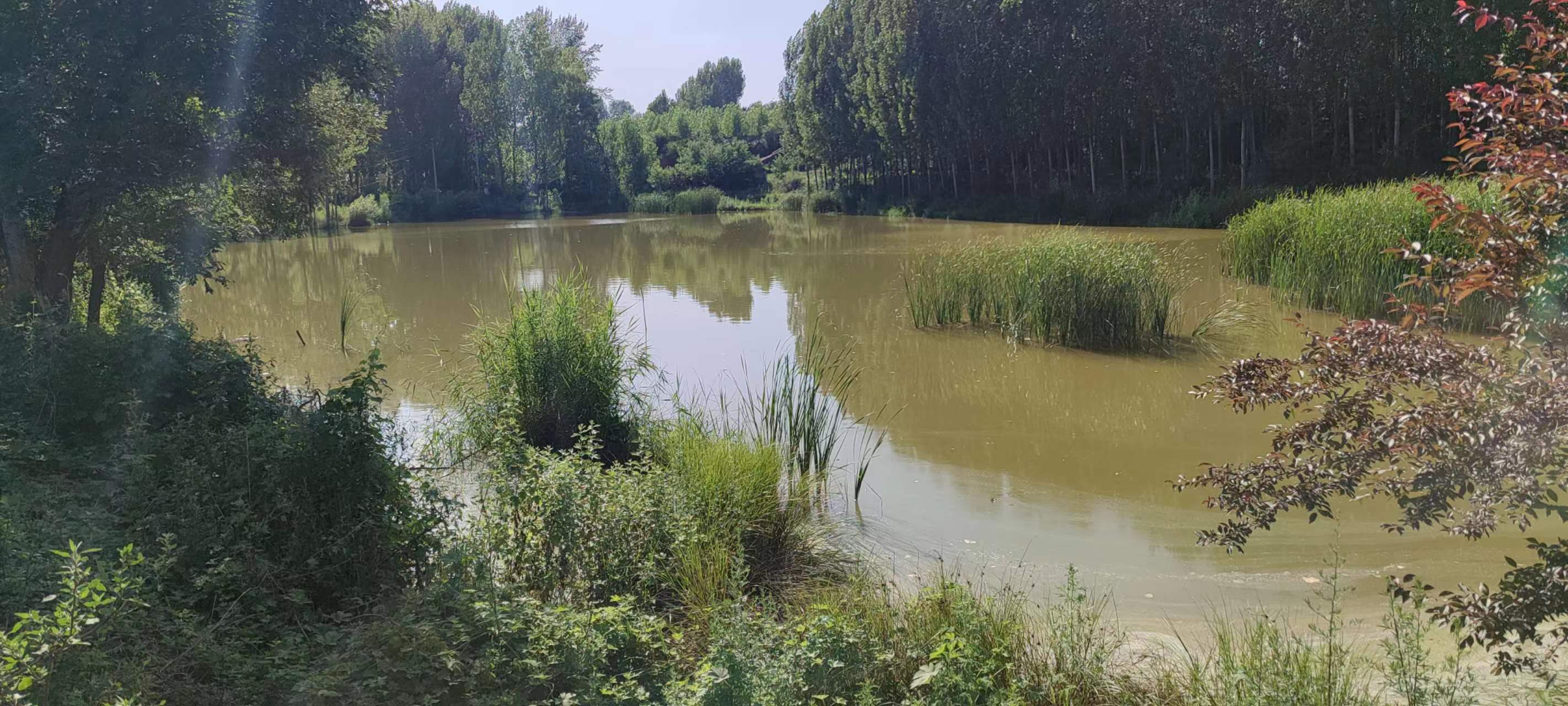 古中国考出彭蠡泽｜张笔魁