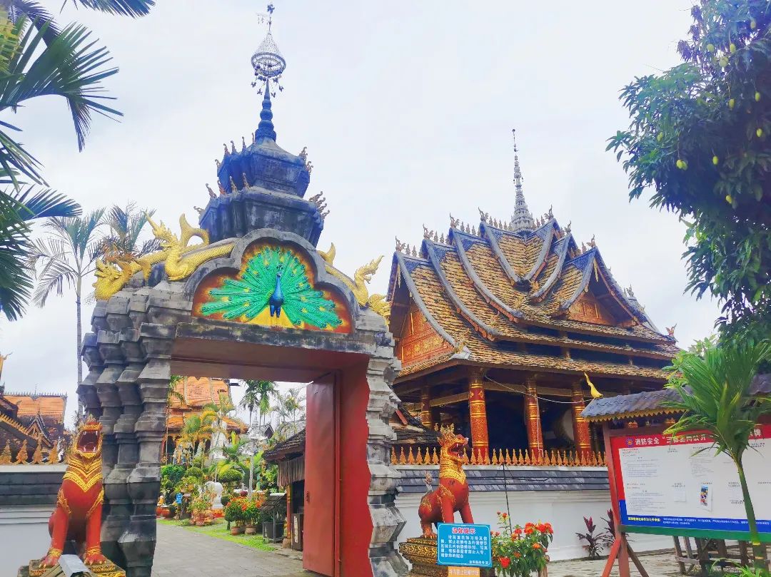 西双版纳七天六夜攻略,西双版纳五天六夜之旅完美结束